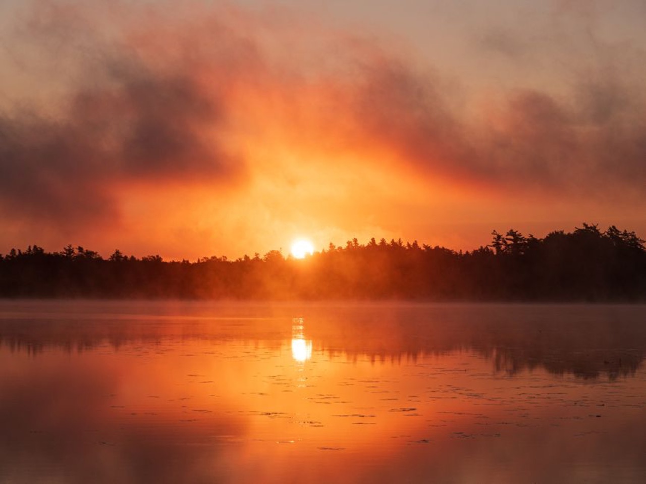Fresh start sunrise - Debt solutions companies explained